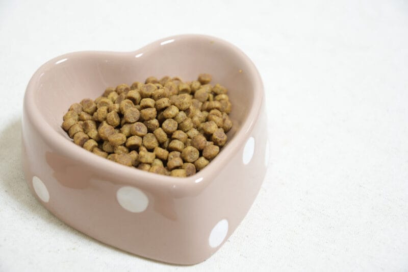 ハートのお皿に入ったドッグフード