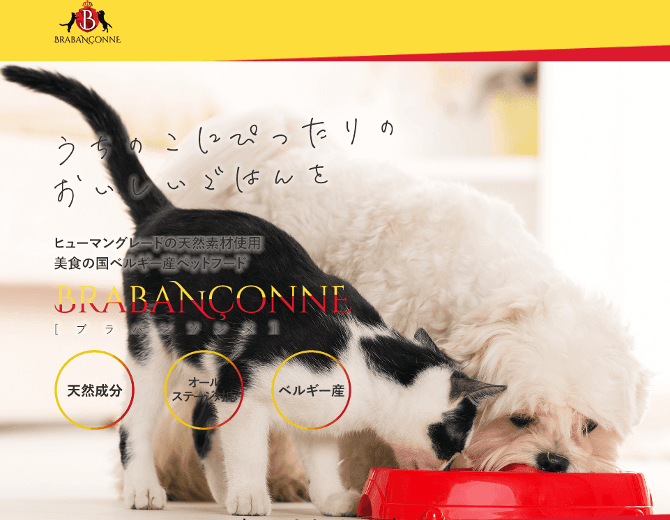 ブラバンソンヌ