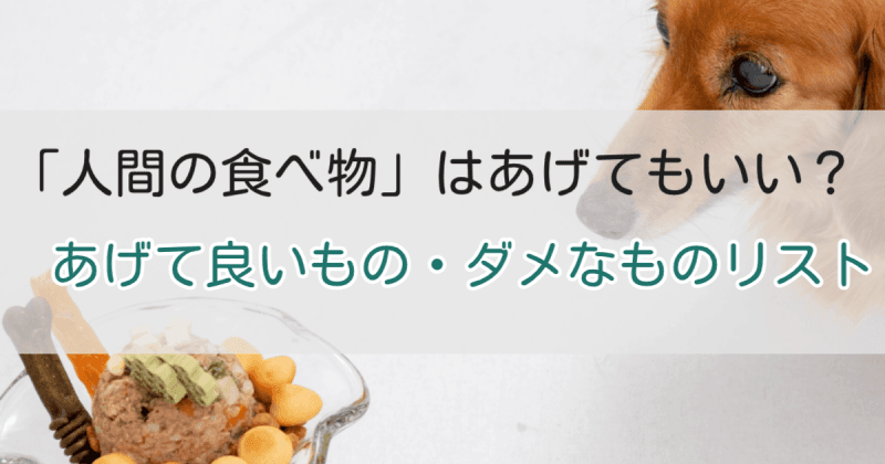 与えても良いもの・絶対ダメなものリスト