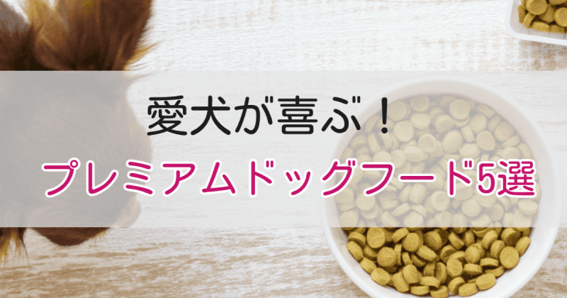 プレミアムドッグフード5選