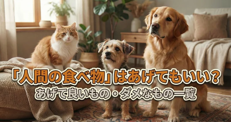 「人間の食べ物」はあげてもいい？あげて良いもの・ダメなもの一覧
