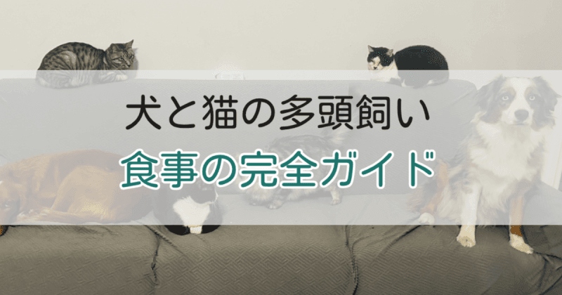 犬と猫の多頭飼いアイキャッチ