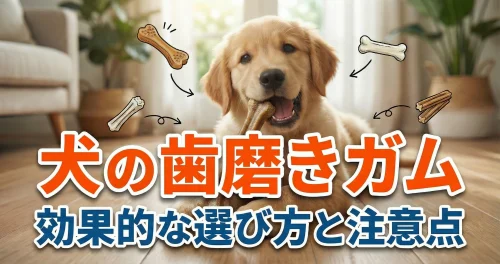 犬の歯磨きガム・効果的な選び方と注意点