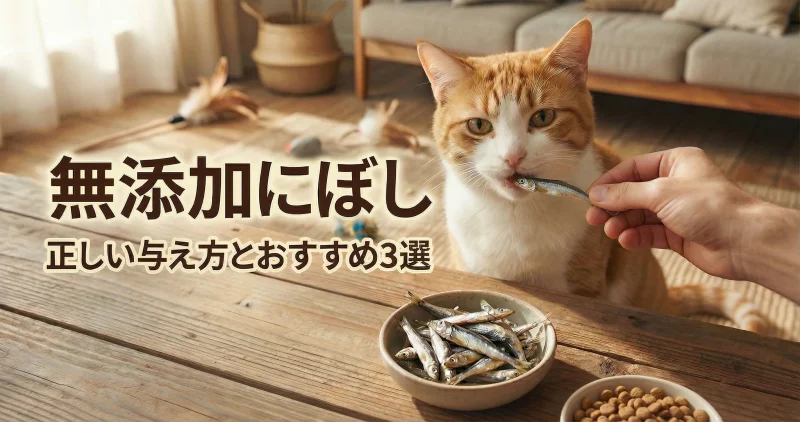 無添加にぼし・正しい与え方とおすすめ3選