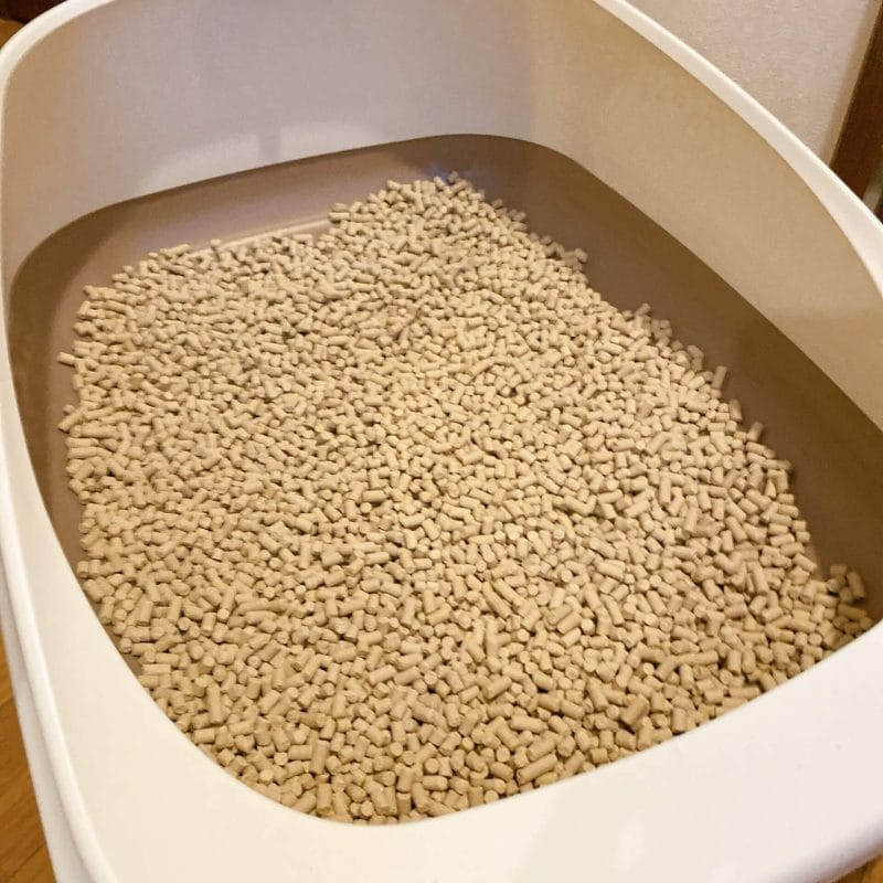 猫砂イメージ画像