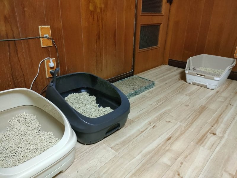 猫システム3個イメージ画像