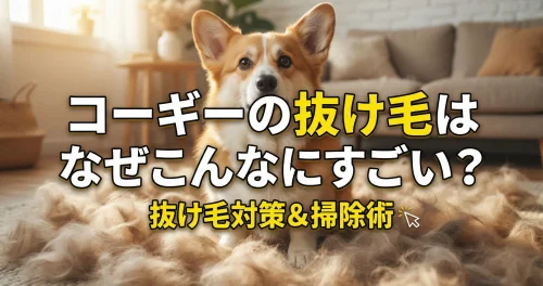 コーギーの抜け毛はなぜこんなにすごい?