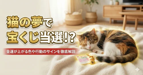 猫の夢で宝くじ当選！？
