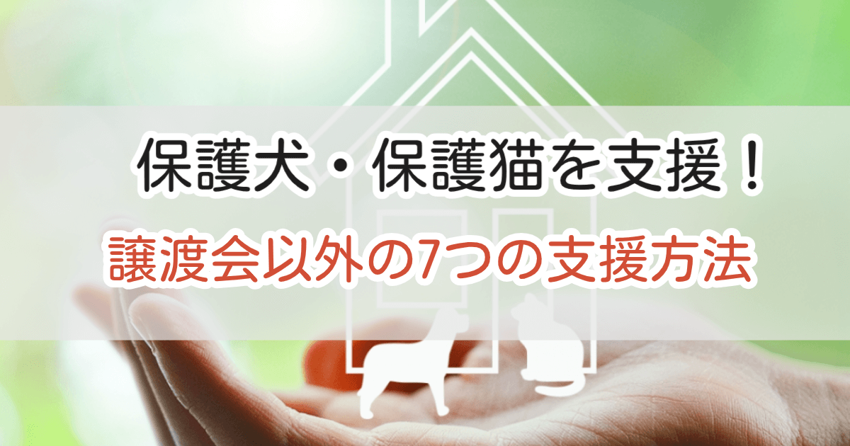 保護犬・保護猫を支援！