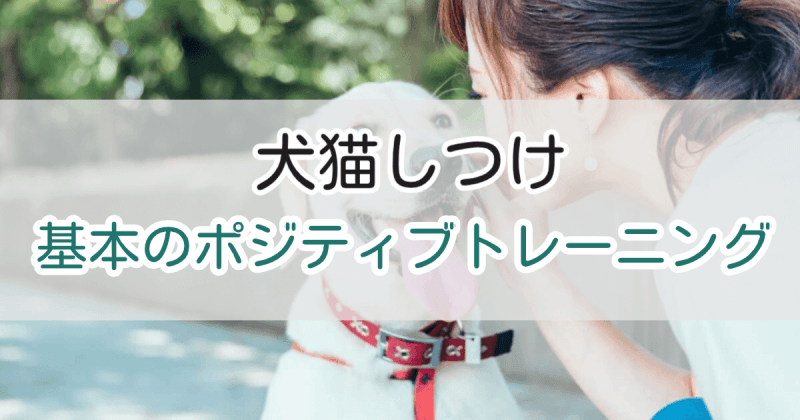 ポジティブトレーニング