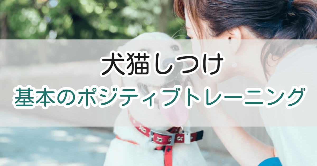 ポジティブトレーニング