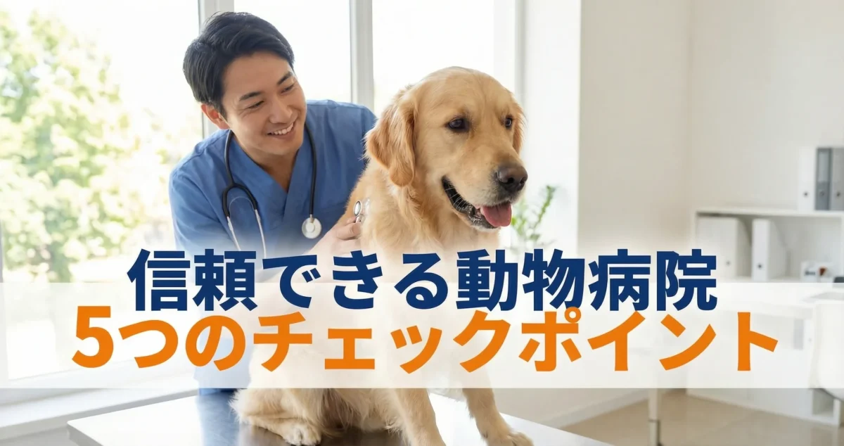 信頼できる動物病院・5つのチェックポイント